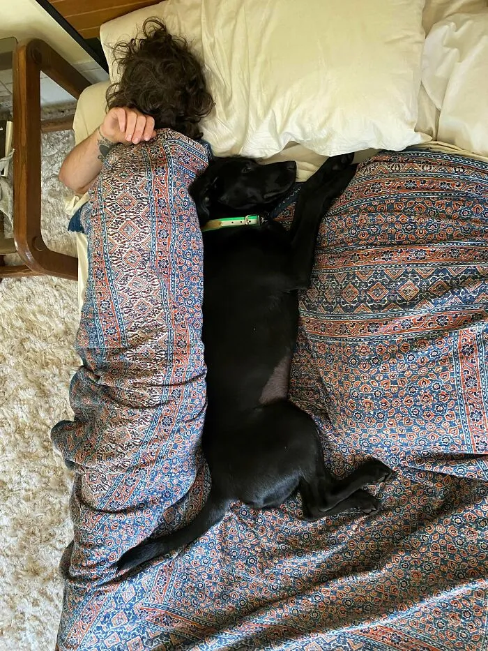 My Girlfriend Finally Woke Up Before Me And Caught Our Usual Sleeping Arrangement That I’ve Been Complaining About. The Bed Is King-Size