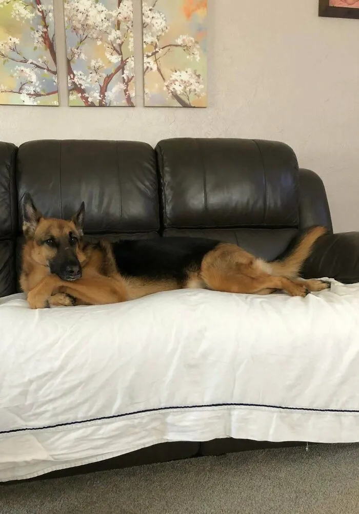 Draw Me Like One Of Your German Girls