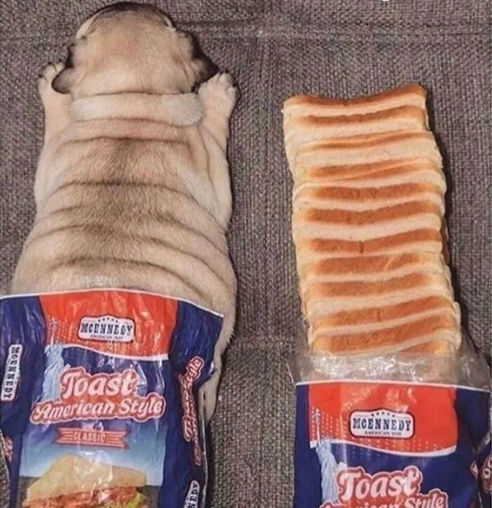 Sliced Bread