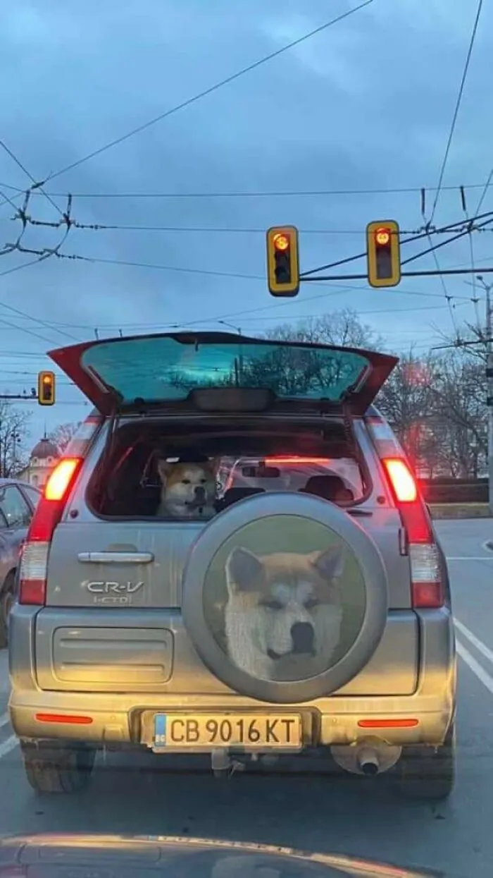 Perfect Timing