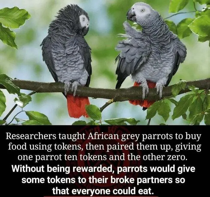 They Support Each Other