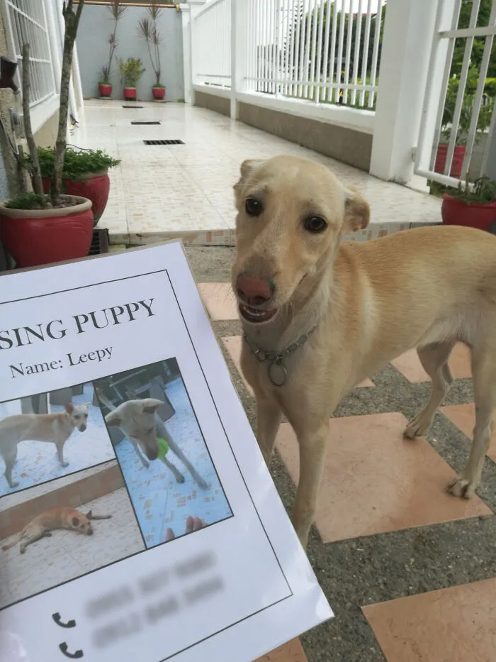 She Was Missing 2 Days Ago. This Morning She Showed Up In Front Of Her Home