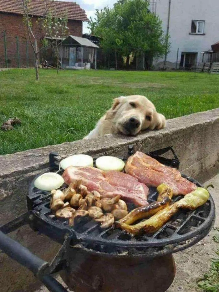 Soñando despierto frente a la barbacoa