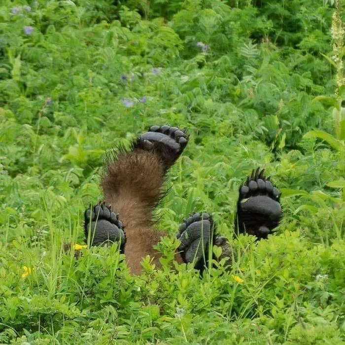 Cutest Pic I've Seen This Week