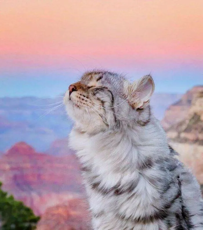 Very Peaceful