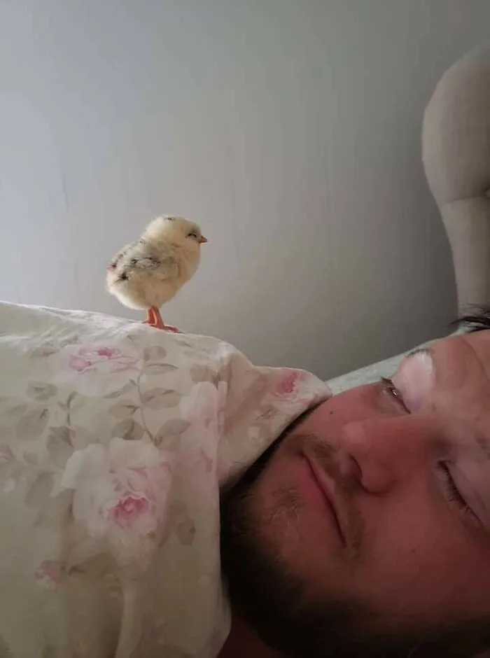 Se ve muy bonito