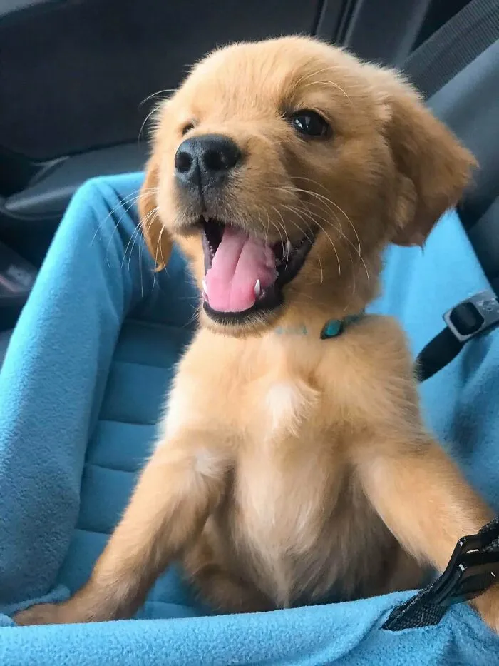 Everybody Meet Chuck!!!