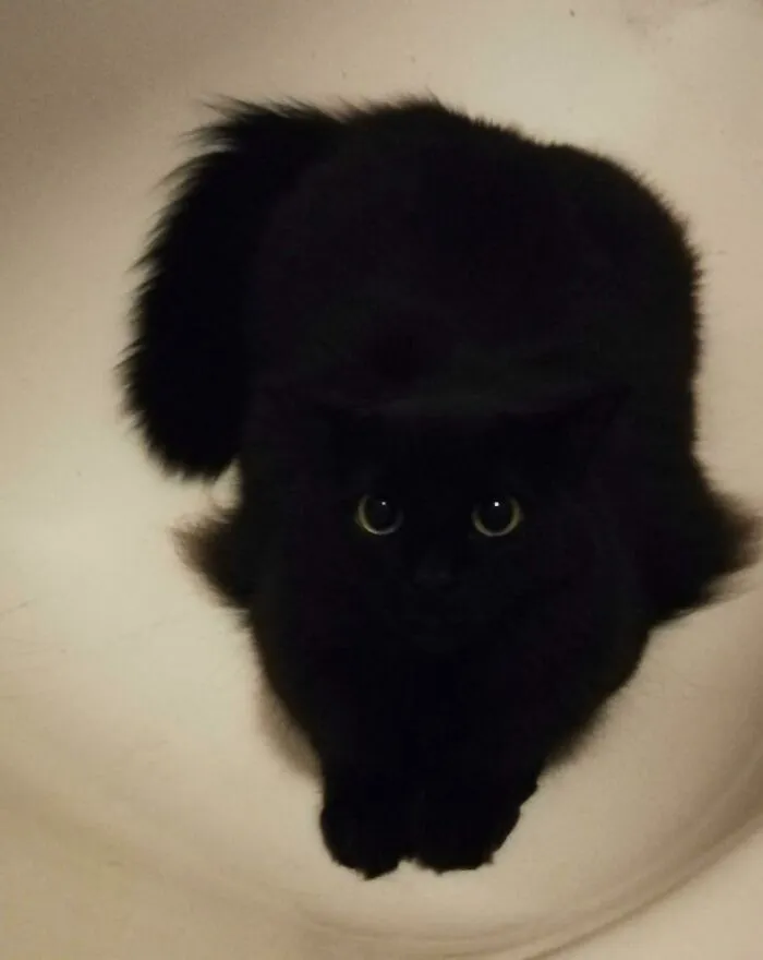 Mi pequeño vacío negro