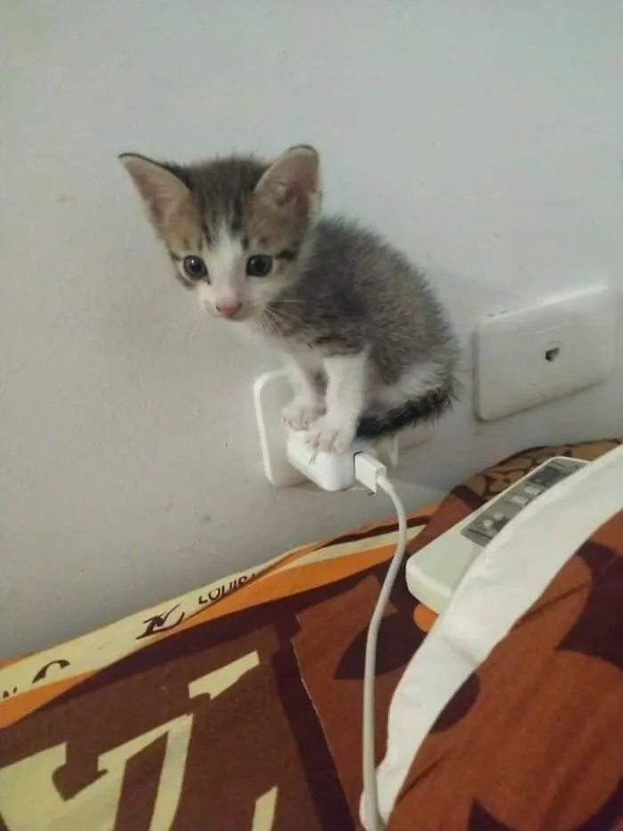 Pequeño bebé