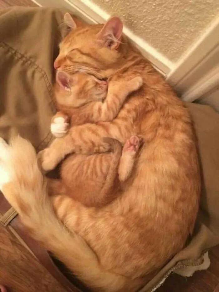 La foto más linda que he visto hoy