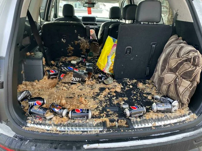I Forgot The Pepsi Was In The Back Of My Car, And It Was -16 Fahrenheit Night Before Last