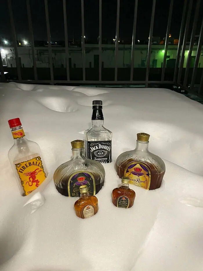 I Saw German Outdoor Freezers And Decided To Share Mine From Texas