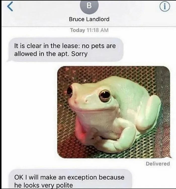 A Polite Boi