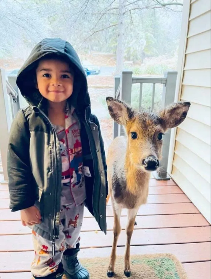 4yo In Virginia Today Went Outside To Play Then Came Back To The Front Door With A New Friend