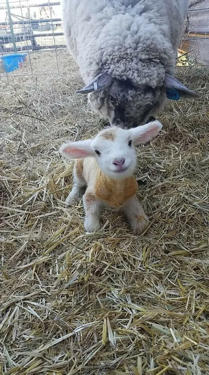 Hello World, 15 Minutes Old