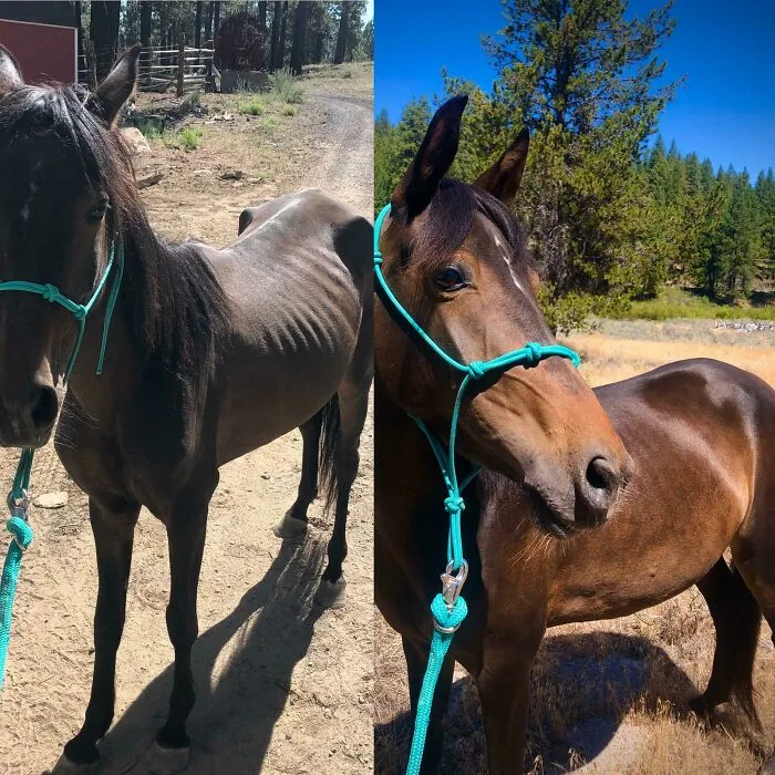 Not A Puppy Or A Kitten, But Asteria Is Still Adorable And Has Made Some Amazing Progress In A Month And A Half!