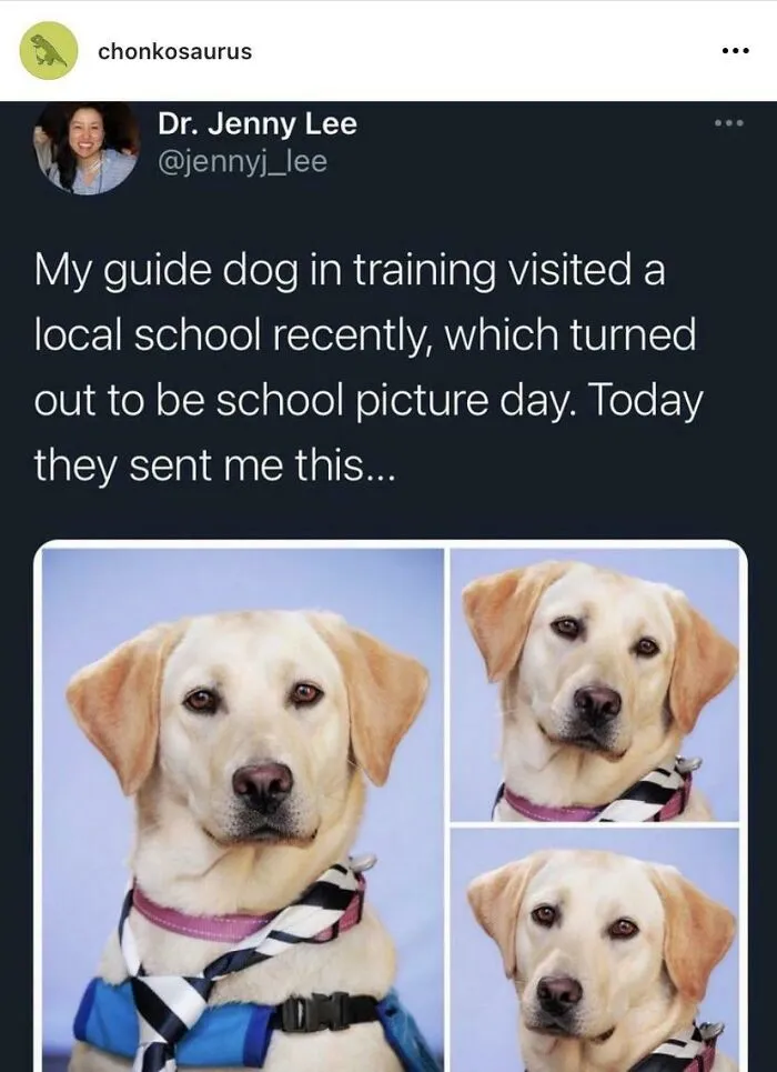 Wholesome As Heck