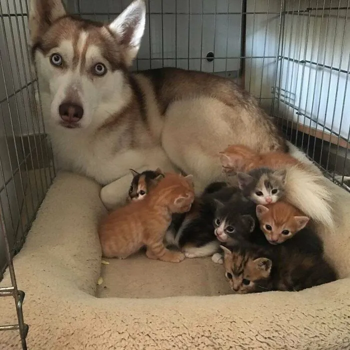 Sí.. Somos una familia
