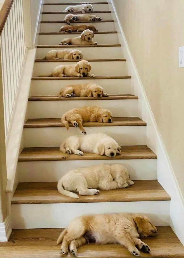 Stairway To Heaven