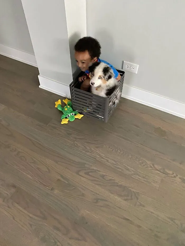 Just A Boy And His New Dog