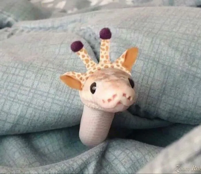 Esta es una jirafa bastante extraña 
