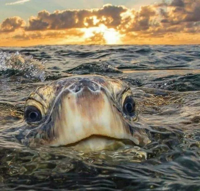 Hello There!