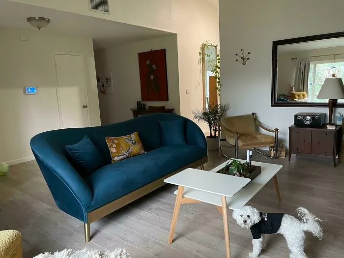 Thrifted Nwt Couch From The Local Salvation Army. Couldn’t Believe My Luck!