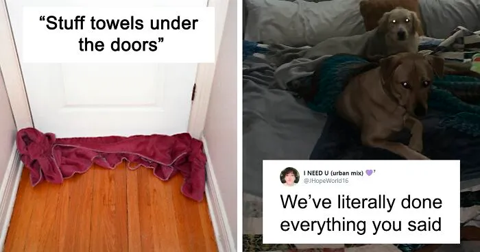 People From Places That Have Harsh Winters Are Sharing Tips For Texas On How To Deal With The Current Situation