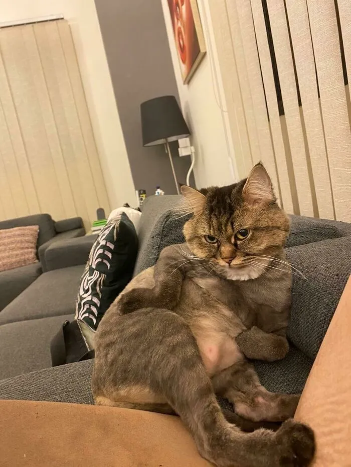 Being Sexy For Ya