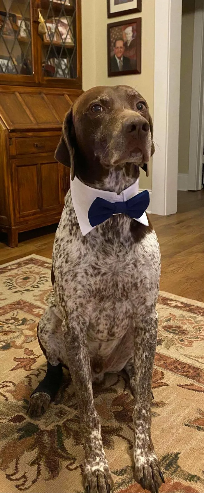 After 9 Years Of Being My Best Friend, He Gets To Be My Best Man