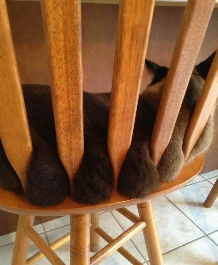 These Rolls Are Homemade
