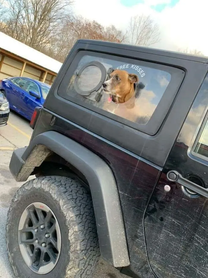 This Free Kisses Pup Window!