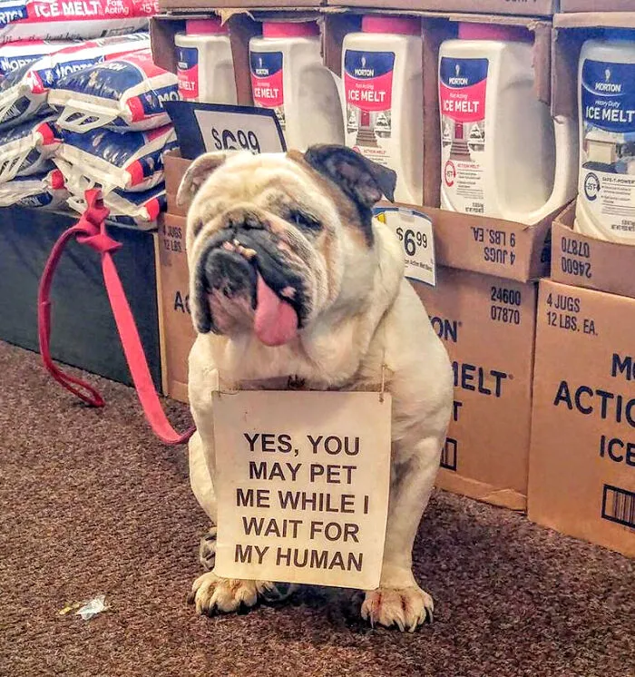 Spotted This Cutie At The Grocery Store
