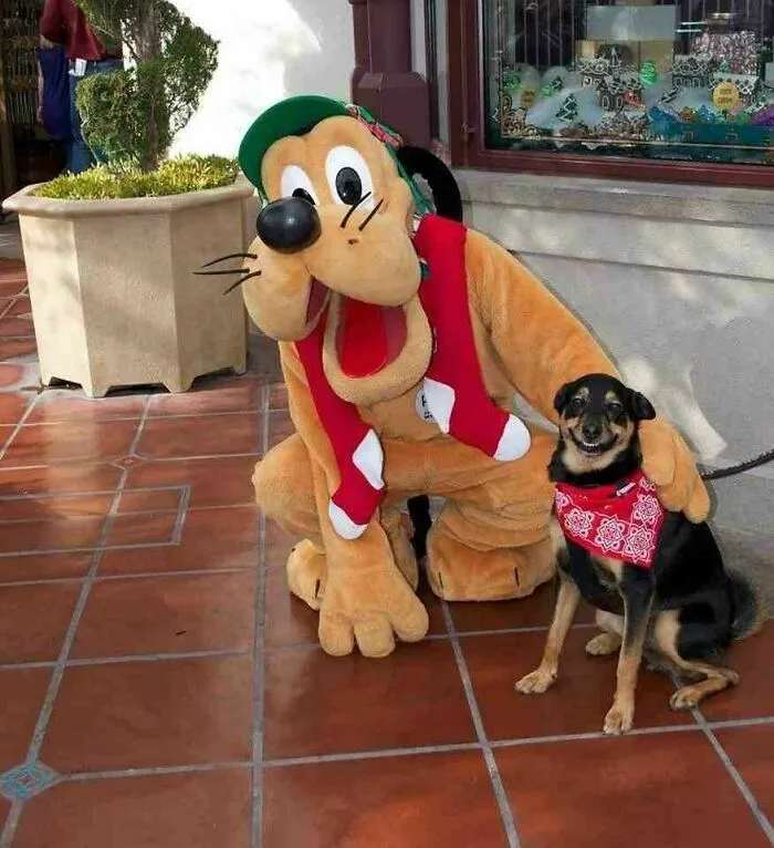 Esta será siempre una de mis fotos favoritas de todos los tiempos