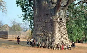50 "Absolute Unit" Posts That Show Just How Big Things Can Get (New Pics)