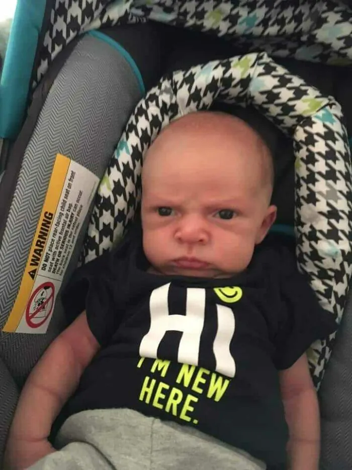 5 Weeks Old And Grumpy As Hell