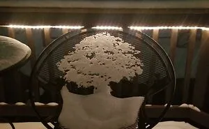 This Online Group Is Dedicated To “Mildly Interesting” Stuff, And Here Are Their 50 Best Posts (New Pics)