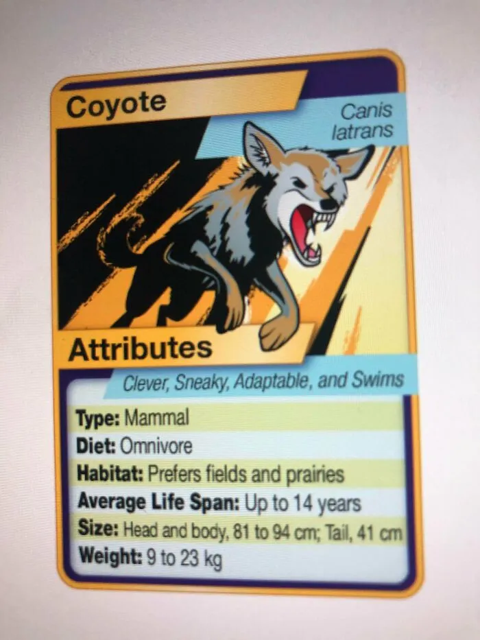 Mi profesor hizo tarjetas de animales de Pokémon para ciencias