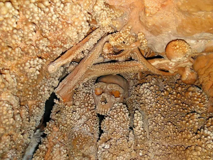 Hallan un cráneo neandertal de 130.000 años de antigüedad, encerrado en estalagmitas, en un sumidero de una cueva de Italia