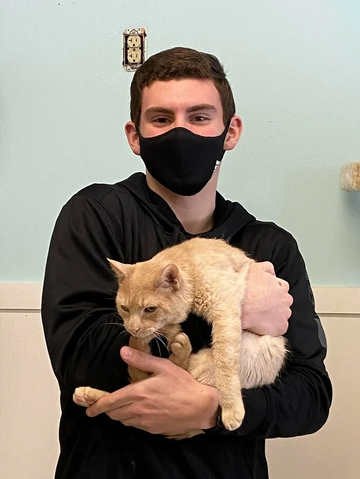 ¡¡Hoy he adoptado mi primer gato!! ¡Os presento a Nova!