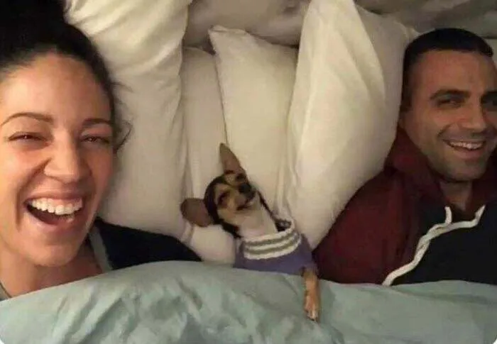 First Night Home From The Shelter After Adoption