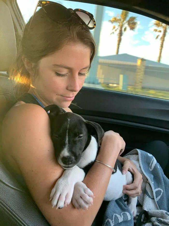 Mi esposa y yo llevamos a este cachorro rescatado a su hogar definitivo