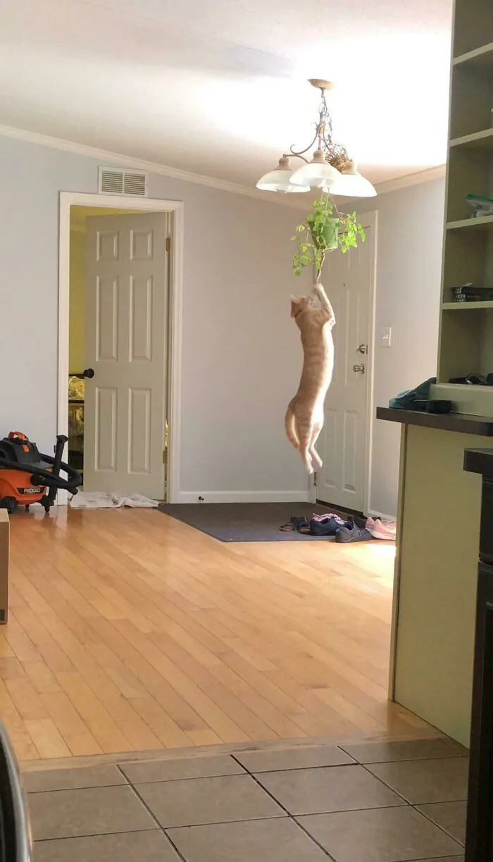 This Is Why We Can’t Have Nice Things