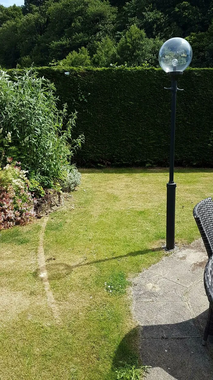 The Glass Globe Of This Light Focused The Sunlight Enough To Burn The Suns Path In The Grass