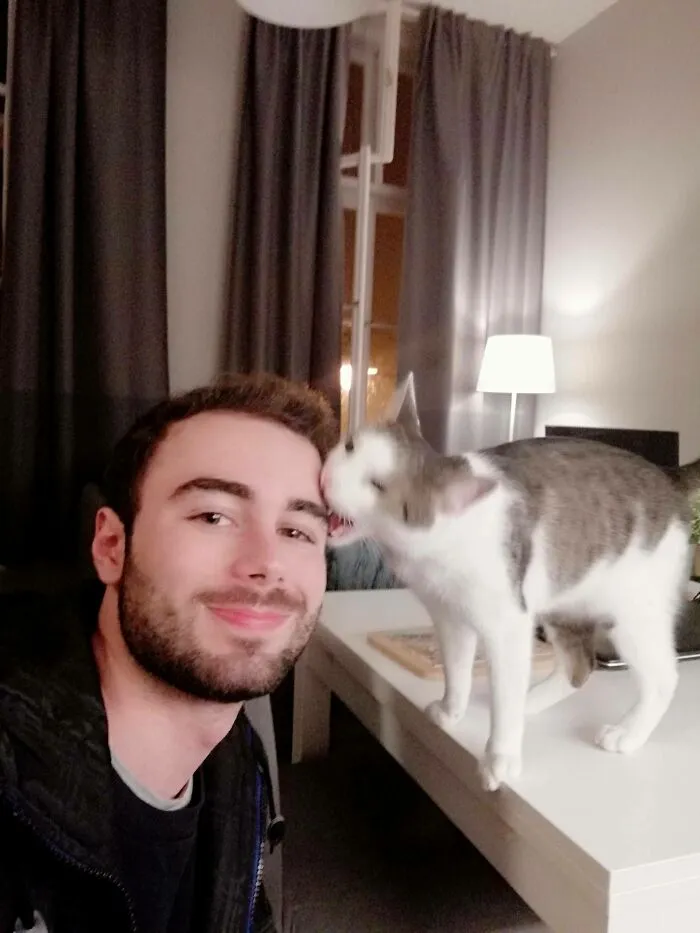 Apparently The Satanic Spirit Possessing My Cat Doesn't Like Selfies