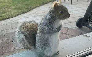 50 Times People Spotted The Cutest Animals And Just Had To Take A Pic Of Them