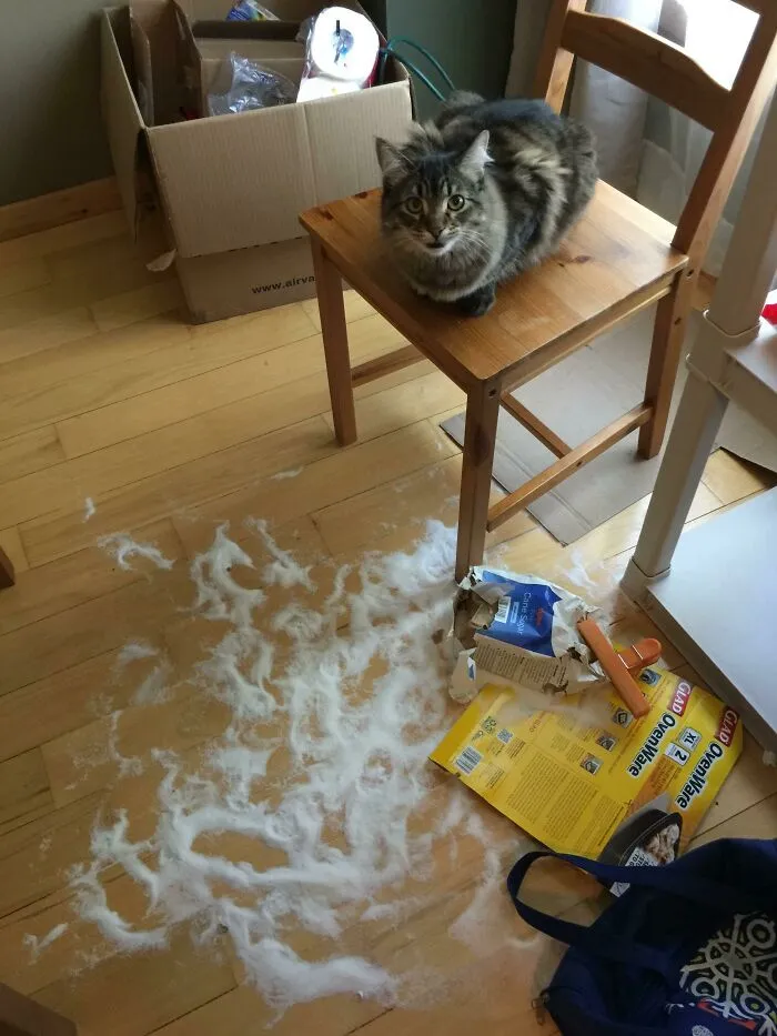 Pavlov me despertó temprano para presumir de su caza