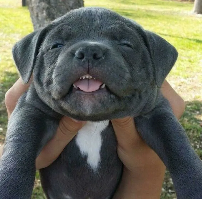Cuando quieres estornudar y terminan tomándote la foto de todos modos 