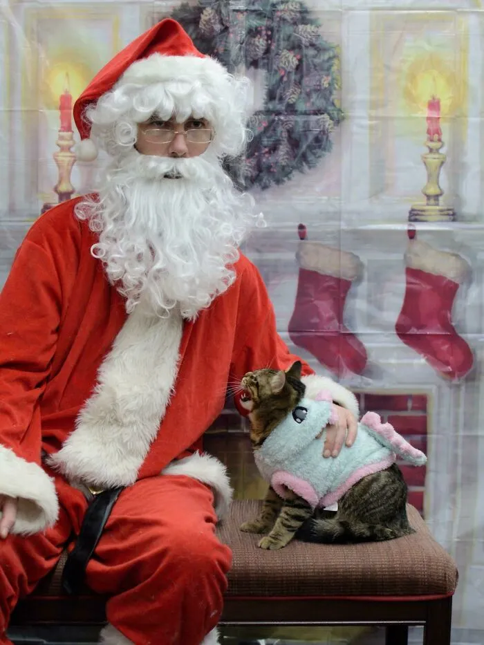 ¡El niño tonto odiaba a Santa Claus! Nunca lo había visto tan enfadado con alguien