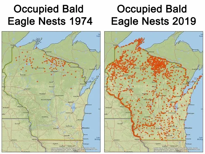 Occupied Bald Eagle Nests In Wisconsin. 1974 vs. 2019. Growth Credited To The Clean Water Act